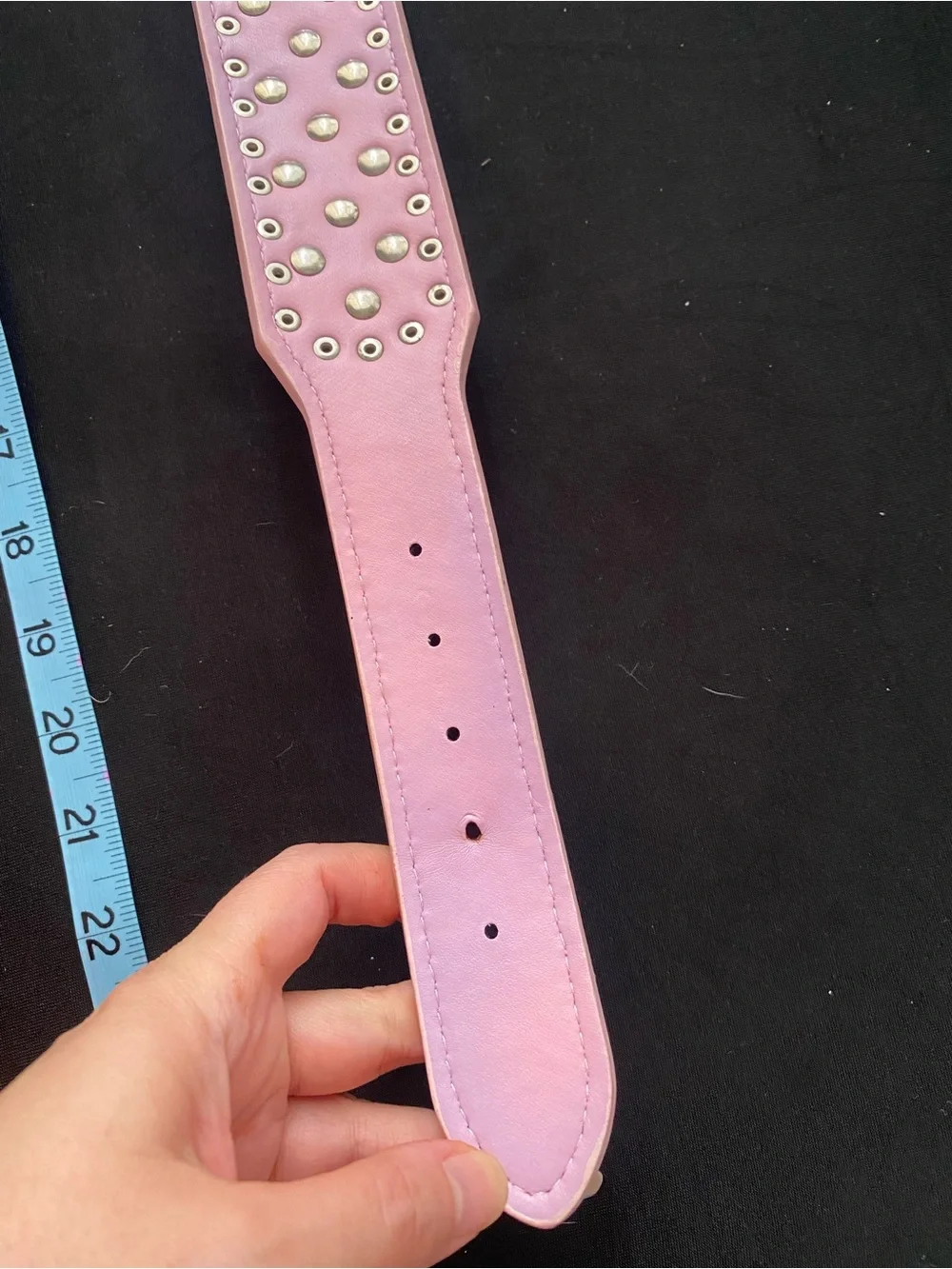 Spiked dog collar